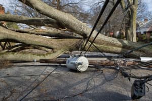 New Upcoming Storm Could Topple Trees, Cause Power Outages Across Region, Officials Warn