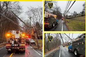 Busy Road Shuts Down After Car Slams Into Telephone Pole In Westchester County