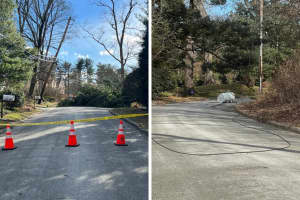 Power Outages: Winds Knock Down Wires, Transformers, Trees In Westchester