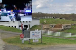 Farmer Pistol-Whipped, Robbed Before Milking Cows In New Haven County: Suspects At Large