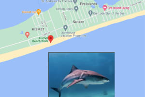 Teenage Surfer Bitten By Shark In Brand-New Long Island Incident