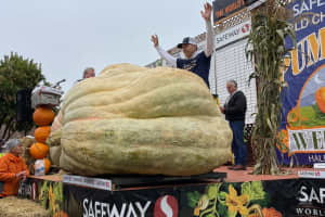 Squashed Already: NY Farmer's Days-Old Pumpkin All-Time Record Broken (Barely!)