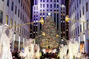 Here's Where This Year's Rockefeller Center Christmas Tree Will Be Coming From In NY State