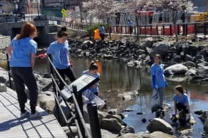 Community Comes Together For Saw Mill River Cleanup