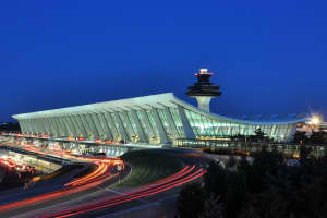 Russian Animal DNA Smuggler Admits To Attempting To Sneak Vials Through Dulles Airport