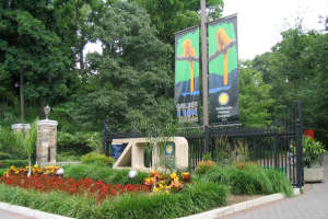 National Zoo To Reopen On Wednesday After Bomb Threat Evacuation (UPDATED)