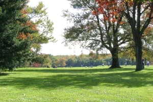 String Of Thefts From Vehicles Reported At Parks In New Canaan