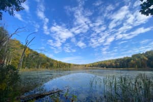 174-Acre Wilderness That Includes 'Great Swamp' To Be Protected In Area