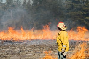 $1M Grant Awarded For Wildfire Prevention Near NJ Military Bases