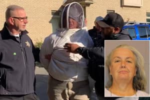 Western Mass Woman Chooses Plan Bees To Fight Off Deputies During Eviction: Police