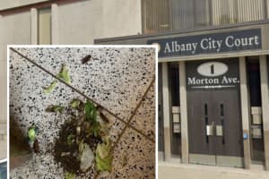 Capital District Courthouse Evacuated After Protester Releases Cockroaches