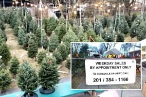 Need A Christmas Tree? Dumont Volunteer Ambulance Corps Has Yours