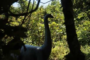 Lasdon Park Home To Dinosaur Garden