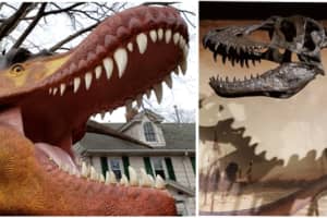 Separate Drive-Thru Dinosaur Exhibits Roaring In Suffolk, Nassau