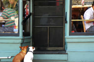 Dog-Friendly Dining Catches On At These East End Locales