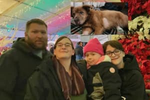 Final Dog Rescued From Devastating Christmas Day Fire Reunited With Family In Maryland