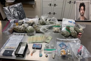Pounds Of Marijuana, Other Drugs Seized During Virginia Traffic Stop, Police Say