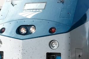 Feds Charge NJ Amtrak Employee With Stealing, Fencing Chainsaws, Parts