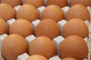 Increases In Cost Of Eggs, Meat Linked To Bird Flu