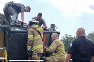 Man Extricated From Rollover Crash In Area, Police Report