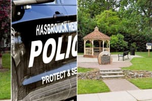 Multiple Juveniles Seized Following Vandalism In Bergen Park: Police