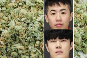 BLUNT OBJECTS: 400 Pounds Of Weed Seized, Duo Detained In Bergen Traffic Stop