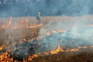 Nearly 290 Acres Burned In Less Than 48 Hours At Fort Indiantown Gap