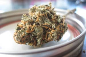 Bronxville To Opt Out Of Legalized Cannabis