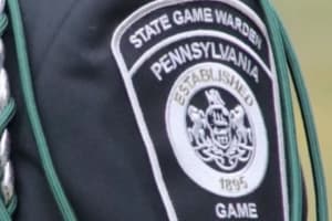 Two Young Children Injured In PA Bear Attack, Game Wardens Say