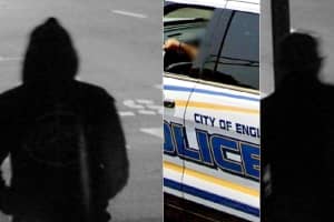 Englewood Bandits Carjack Terrorized Woman, Mug Man On Same Street