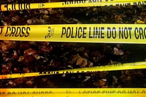 Brazen Fair Lawn Home Invaders Tie Up Resident, Trigger Massive Manhunt