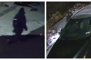 Burglar Caught On Camera In Hellertown, Police Warn