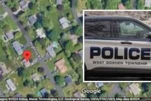 Police Were Called To Chesco Home For Assault Months Before Murder-Suicide: Docs