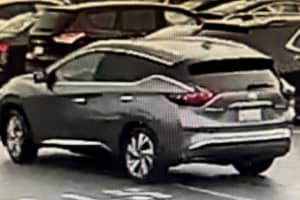 Know Him? Driver Sought In King Of Prussia Hit-Run