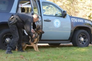 Wanted Man Apprehended After Fleeing In Woods Off Mass Pike