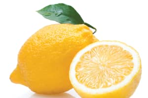 Wegmans Recalls Lemons, Oranges, Some In-Store Produced Seafood, Restaurant Foods