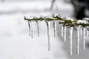 CT Activates First Severe Cold Weather Protocol Of Season