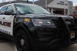 Somerset County Teenager Arrested For Stealing Car, Middlesex Police Say
