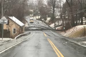 Two Sections Of 9W Closed Due To Downed Trees, Poles