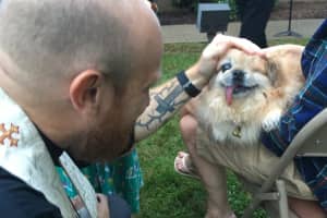 Dog With Hepatitis Among Pets Prayed For At Wayne Church's 'Blessing Of Animals'