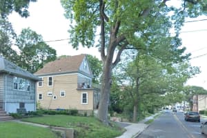 Englewood Homeowner Falls From Ladder