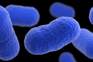 Three In Maryland Infected With Listeria Amid Nationwide Outbreak