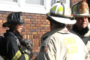 Dog Rescued In Lodi House Fire
