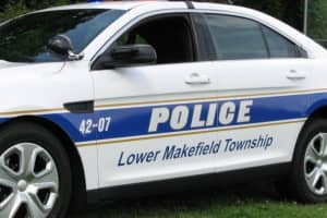 Wanted Levittown Woman Crashes Into Cop Car During Pursuit: Police