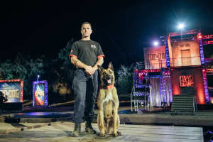 Morris County K-9 Who Won A&E Series Hit With Glass Bottle, Punched By Unruly Man During Arrest