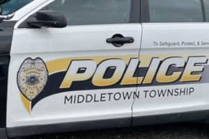 Levittown Man, 23, Dies In Rollover Crash: Authorities