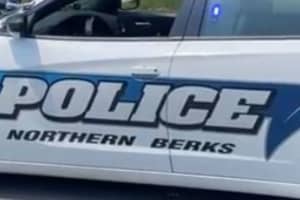 Gunman Opens Fire At Cars, Flees Police In Berks County: Authorities