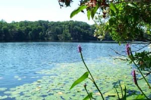 Teen Dies While Swimming At  Uncas Pond In Lyme