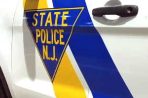 NJSP: Driver Of Disabled Vehicle Struck, Killed On Garden State Parkway In Bergen County