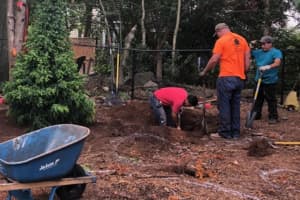 Tree Planters Joke Of Finding Gold In Ridgewood Yard -- Find Skull Instead